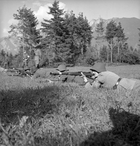 Swiss marksmen festival - s,